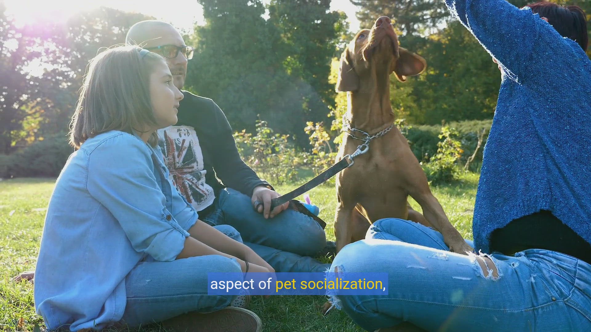 'Video thumbnail for Paws & Play: Your Ultimate Guide to a Purr-fect Pet Playdate'