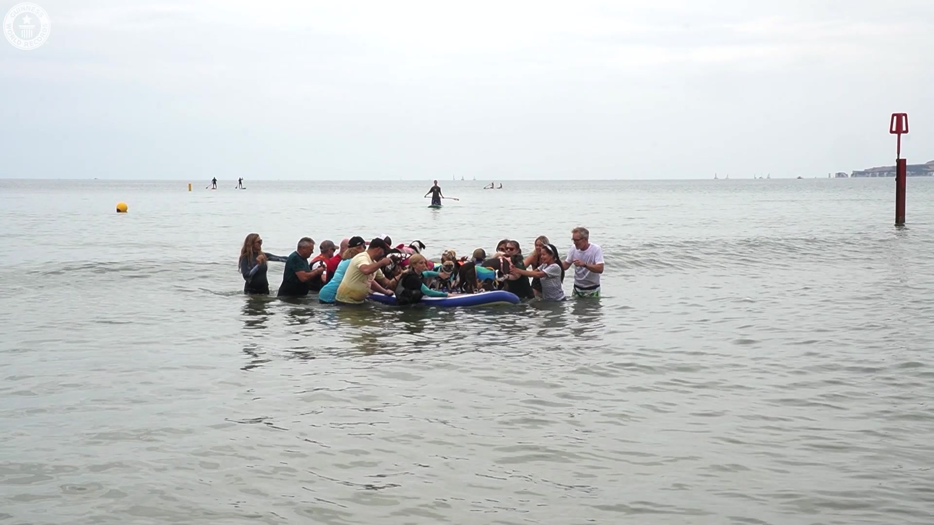 'Video thumbnail for Surf's pup! These dogs broke three paddleboarding records'