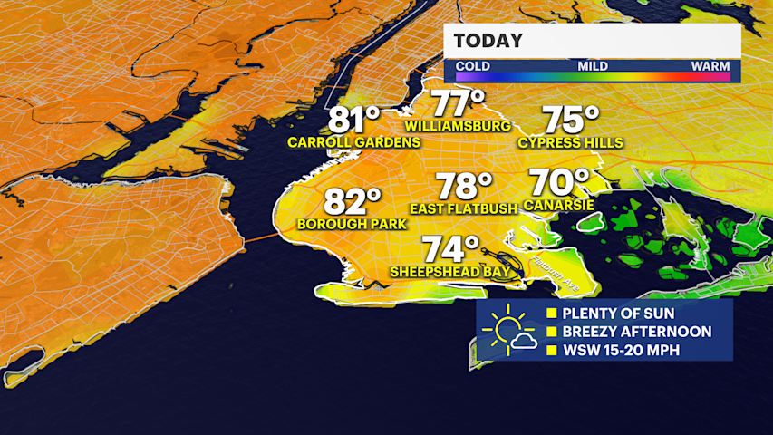 Video thumbnail for It will feel like summer this weekend in Brooklyn