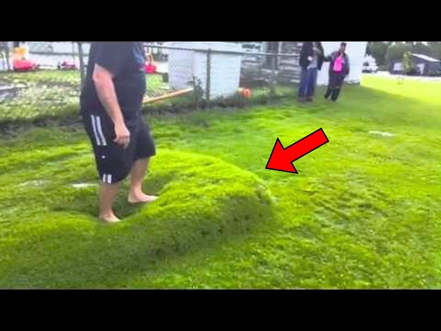 Video thumbnail for Man Sees Strange Bubble Moving In His Yard, Then This Came Out And Started Moving