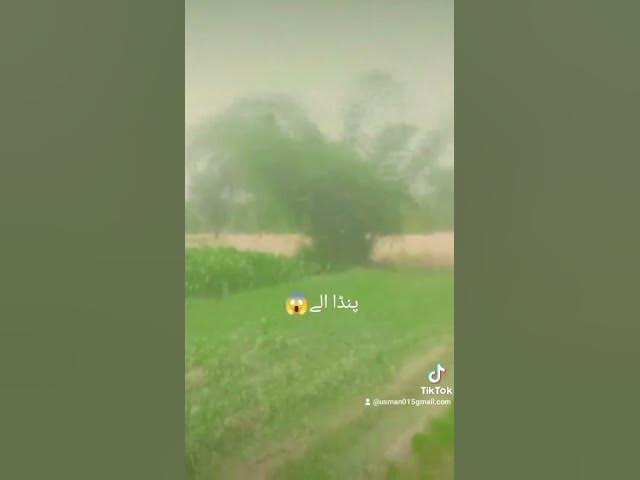 Video thumbnail for May 1, 2025