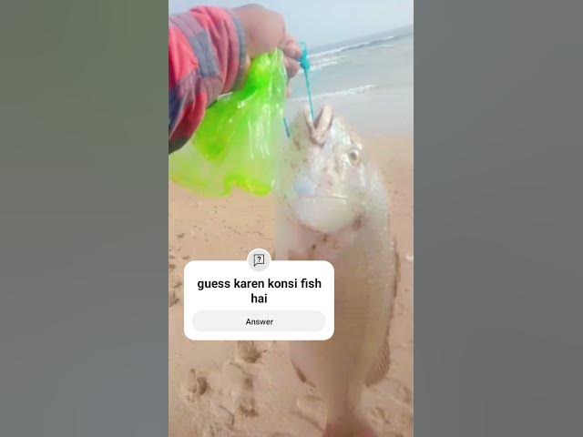 Video thumbnail for hawksbay hamaliya fishing 🎣 #fishing