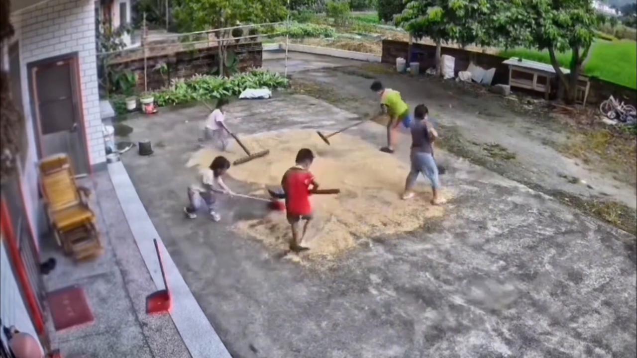 Video thumbnail for China: Chinese children save drying rice before rain.