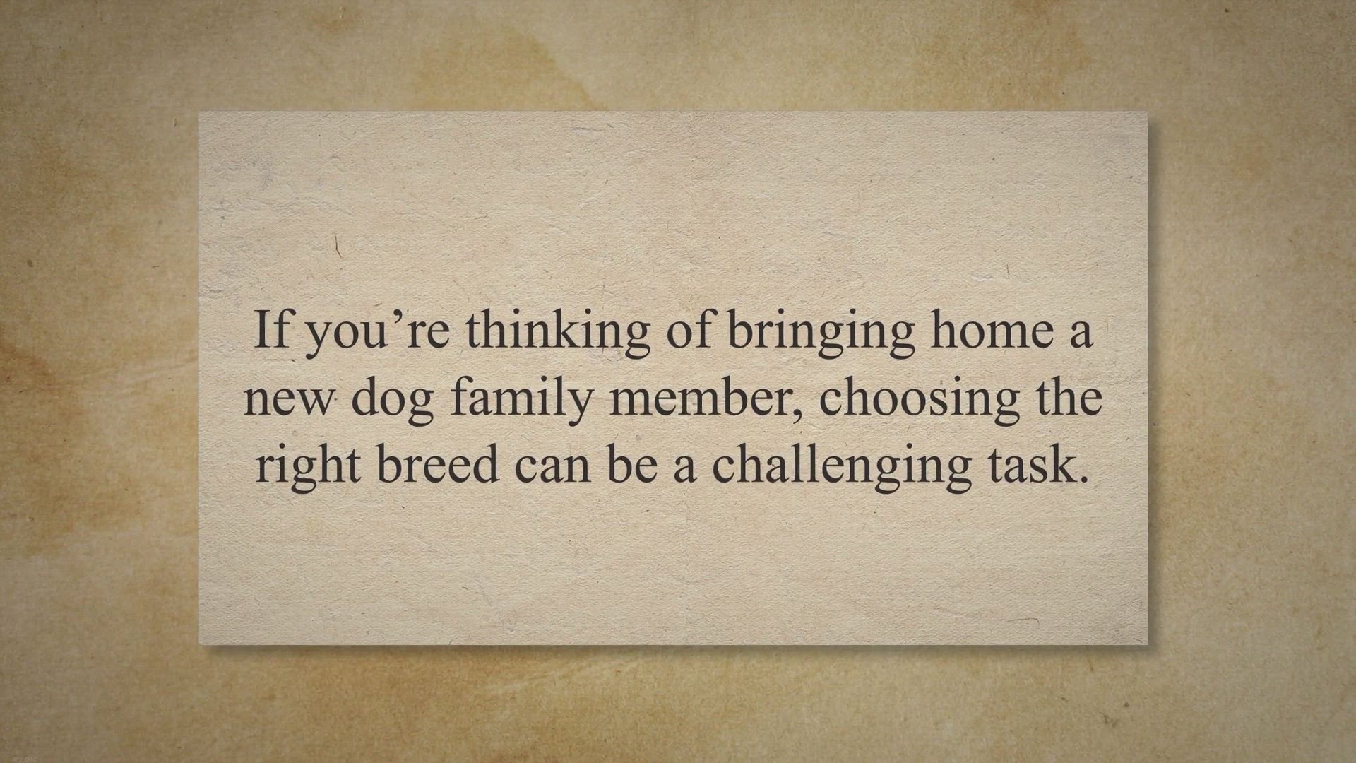 Video thumbnail for Discover the Top 10 Best Dog Mix Breeds: A Guide to Finding Your Perfect Dog | Collies Life