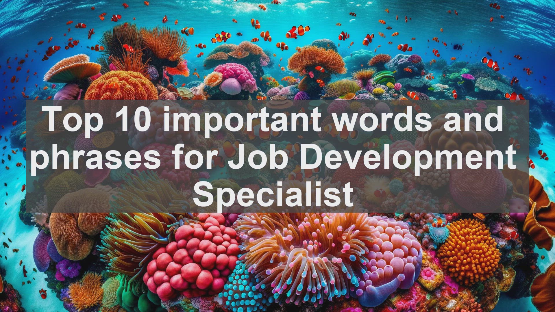 'Video thumbnail for Top 10 important words and phrases for Job Development Specialist'