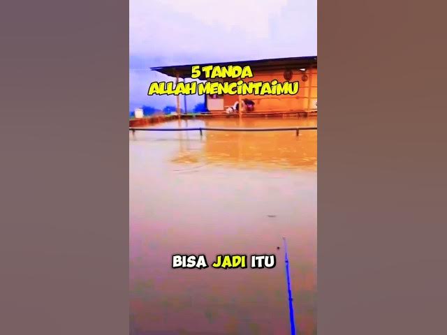 Video thumbnail for 5 Tanda Allah mencintaimu#shorts#lenterahati #motivasiislami