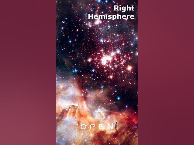 Video thumbnail for Brain Hemispheres