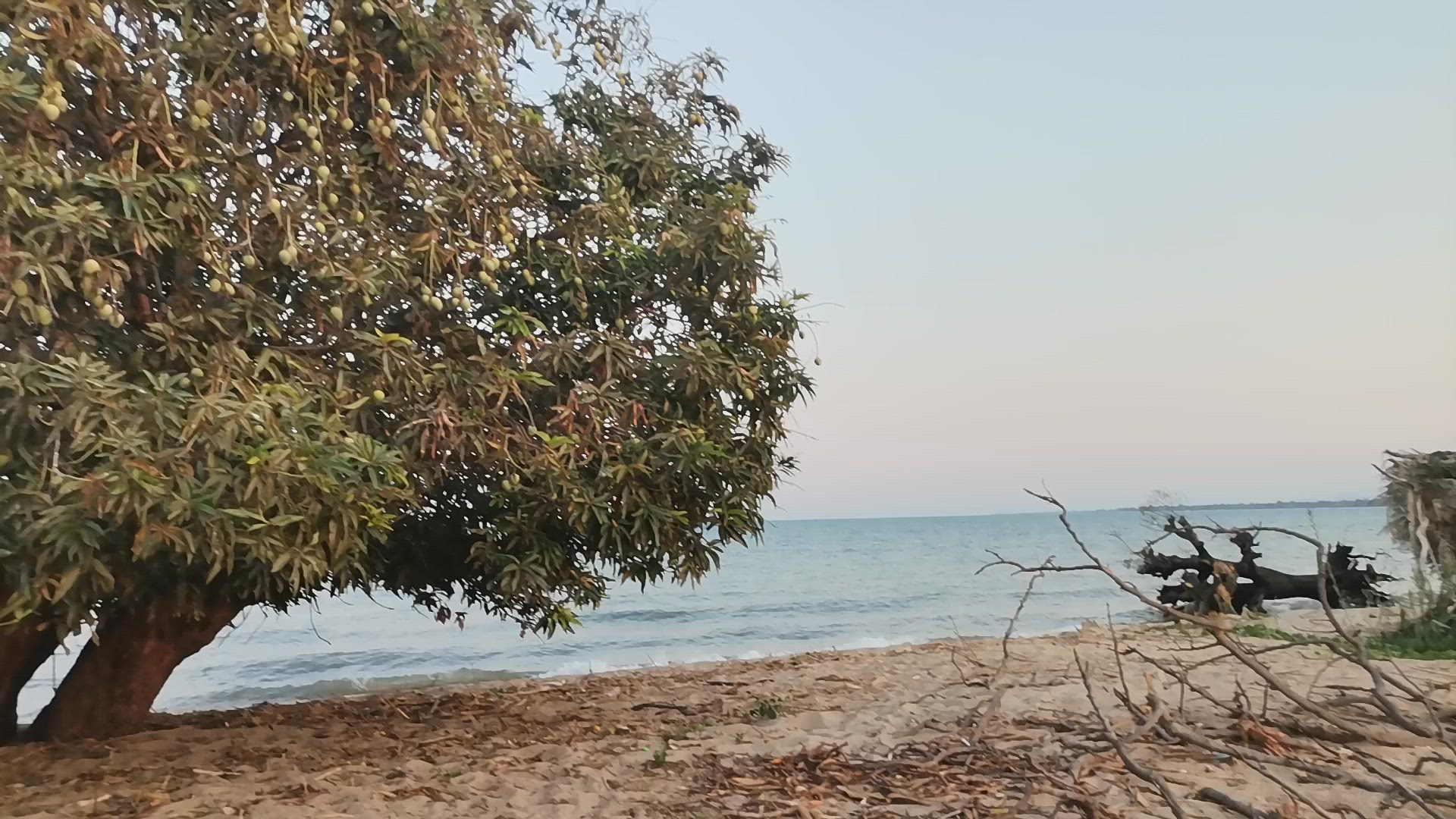 Video thumbnail for Lake Malawi views
