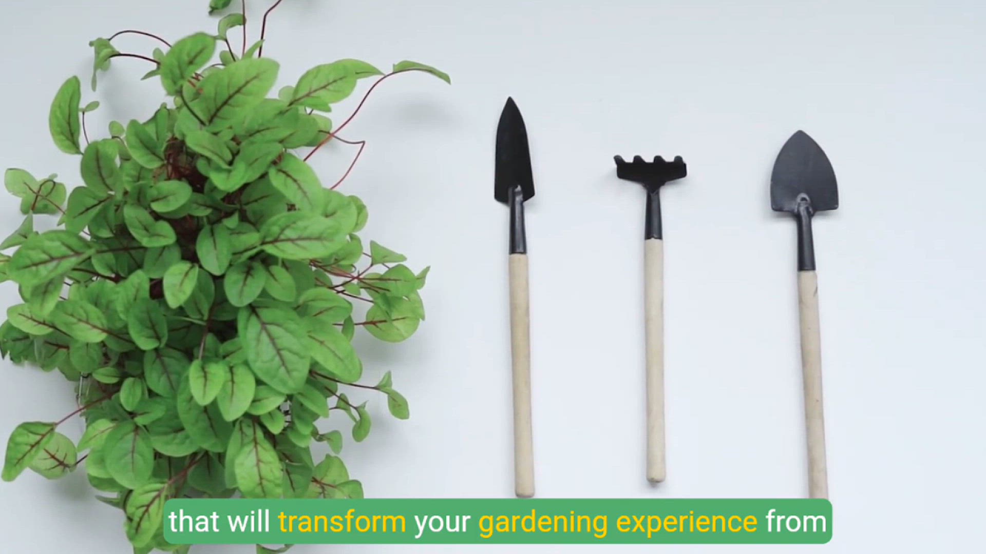 Video thumbnail for Essential Gardening Tools for Beginners: Your Must-Have Guide