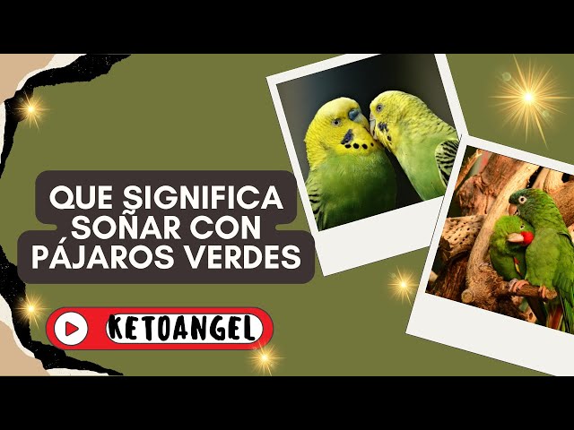 'Video thumbnail for Que significa soñar con pájaros verdes'