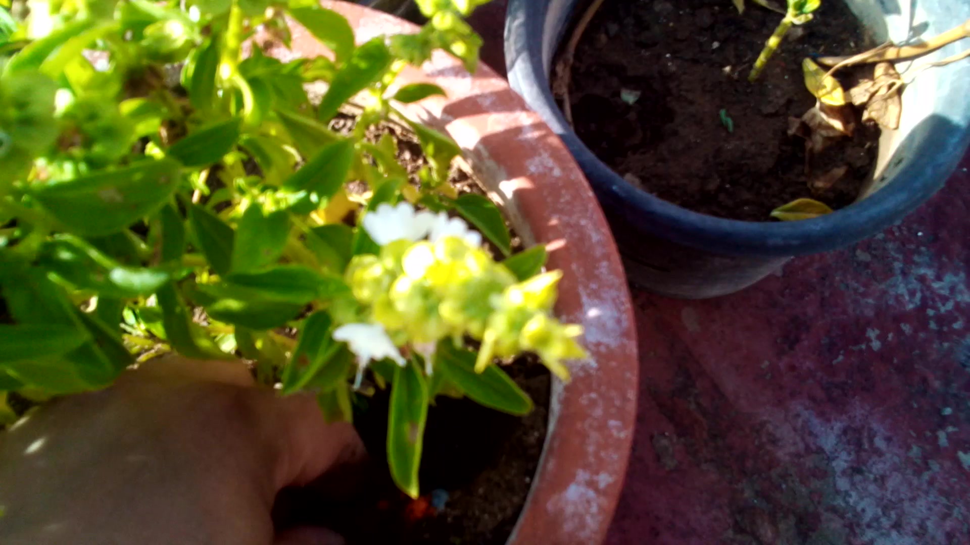 Video thumbnail for ใคใณใณใๅฝผใฏๅๅพฉใฎใใใซๆธๅฝใซๅชๅใใใใ็ช็ถไบกใใชใฃใใๅคงๅคๆฎๅฟตใซๆใฃใฆใใใ็ๆงใธใฎใ้ฃ็ตกใ้
ใใชใใพใใใใจใใ่ฉซใณ็ณใไธใใพใใๅ
ๆฐใชๅงฟใใพใใ่ฆใใงใใชใใฆใใ