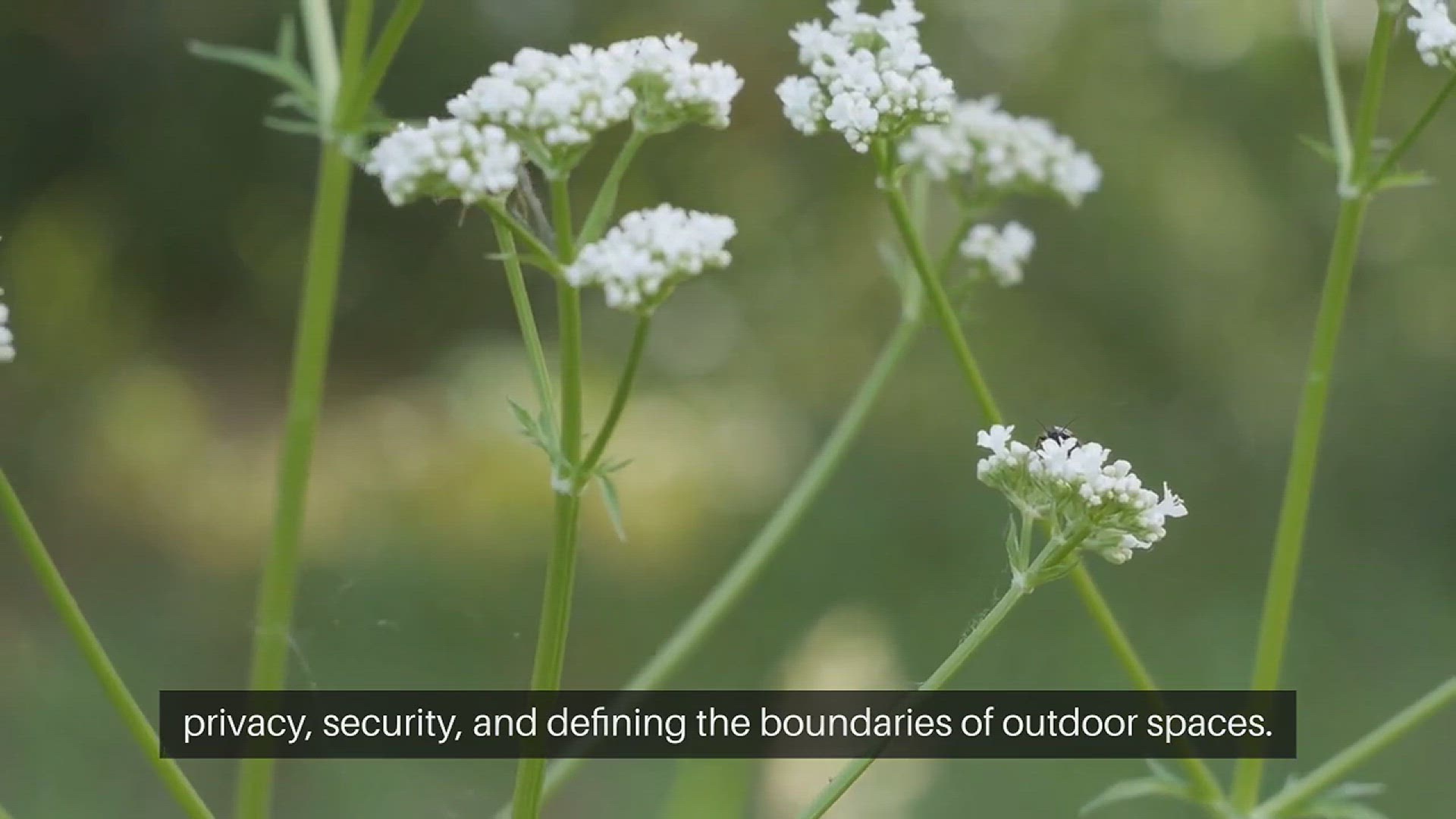 Video thumbnail for Garden Fence Ideas