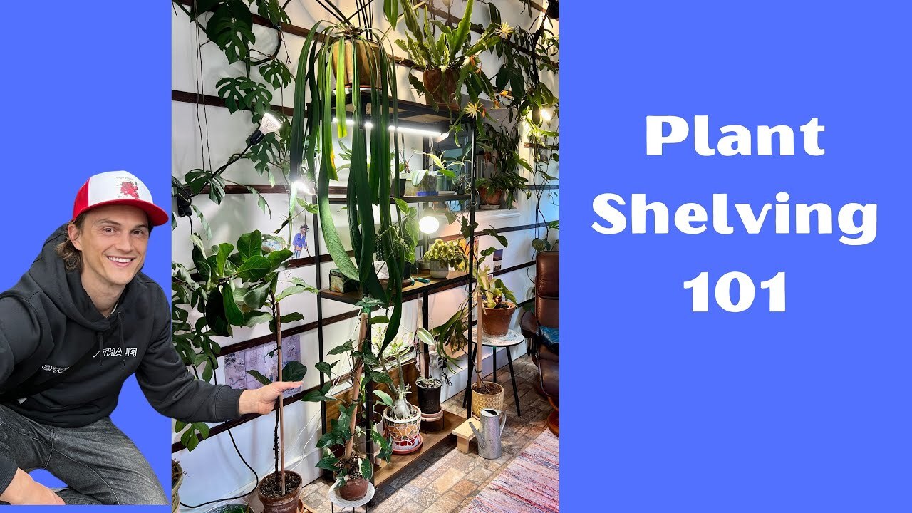 Video thumbnail for Make the Ultimate PLANT SHELF - How to Create One, Using Grow Lights, Plants to Use