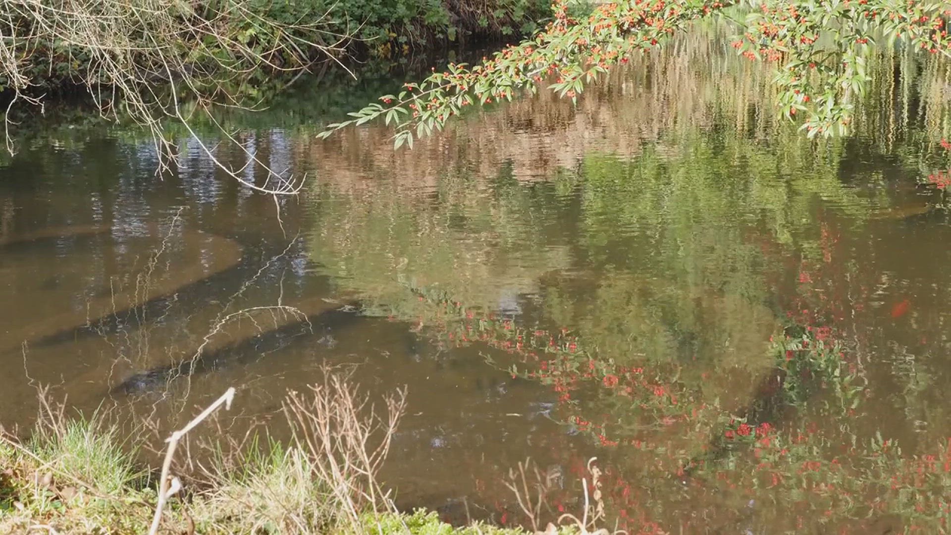 'Video thumbnail for How to Set Up a Japanese Garden'