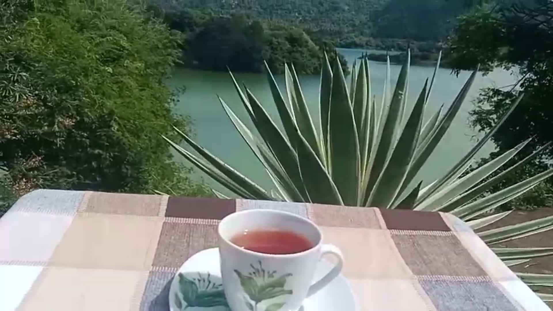 Video thumbnail for "quiet tea time surrounded by nature"
