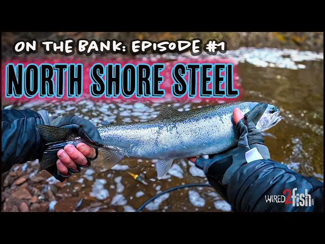 Video thumbnail for On The Bank - EP1: Truck Camping for North Shore Steelhead
