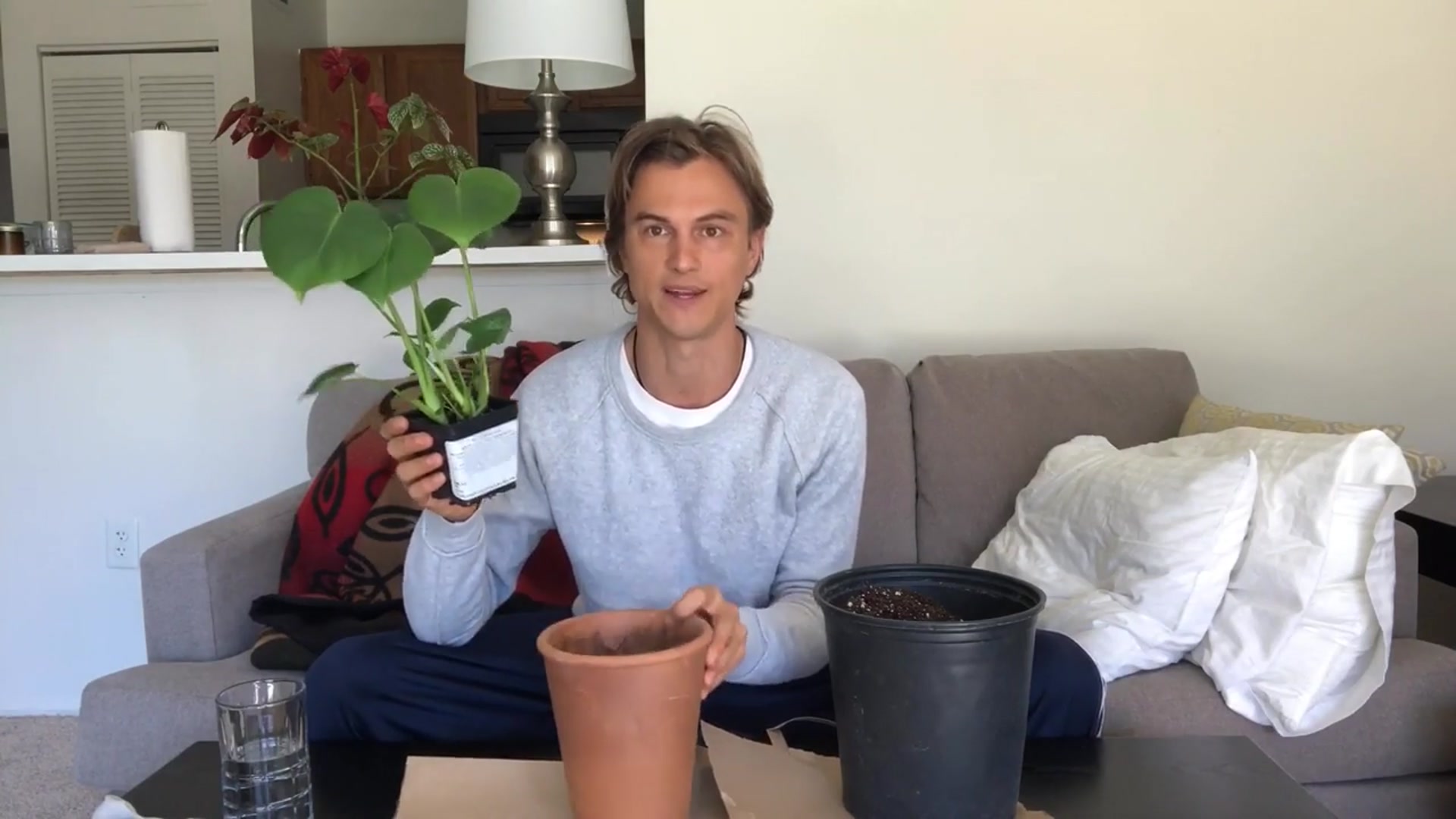 Video thumbnail for Monstera deliciosa Houseplant Care