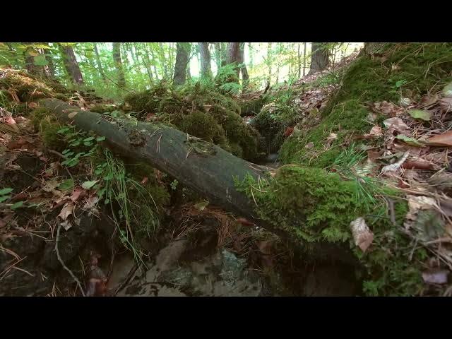 Video thumbnail for Memorial at Christmas 2025