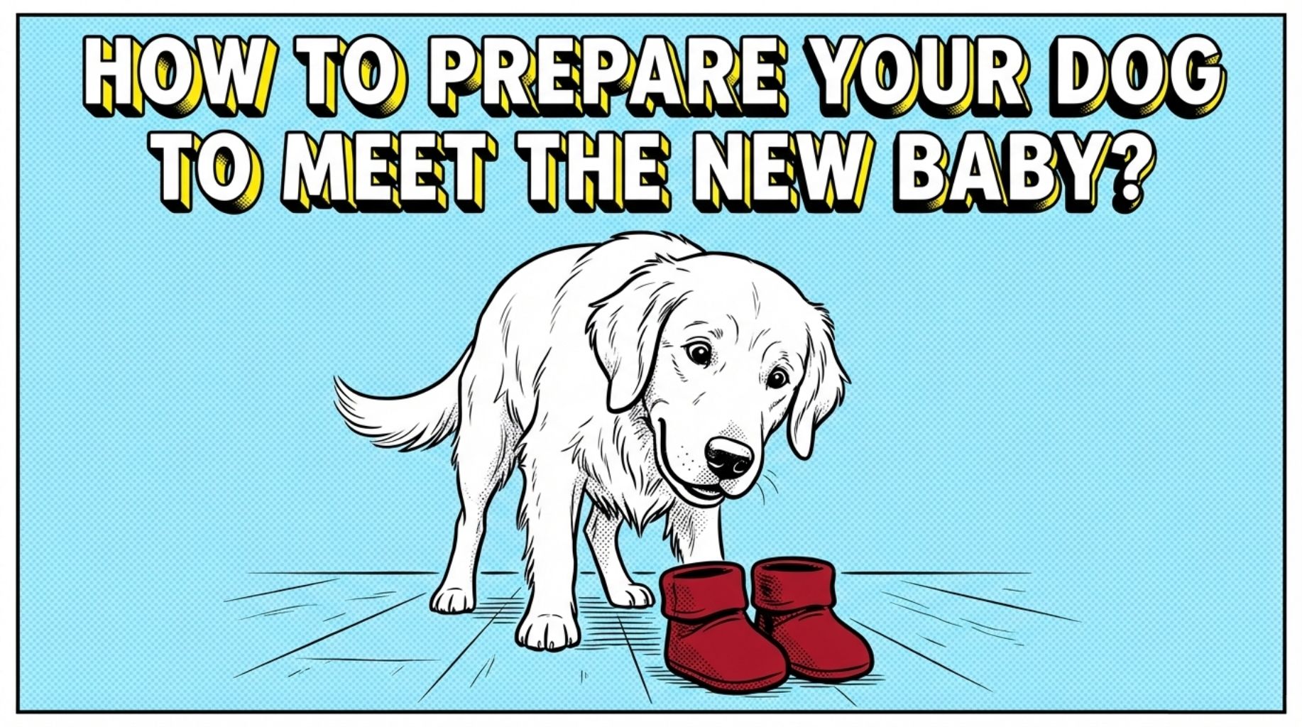 Video thumbnail for How To Prepare Your Dog To Meet The New Baby?