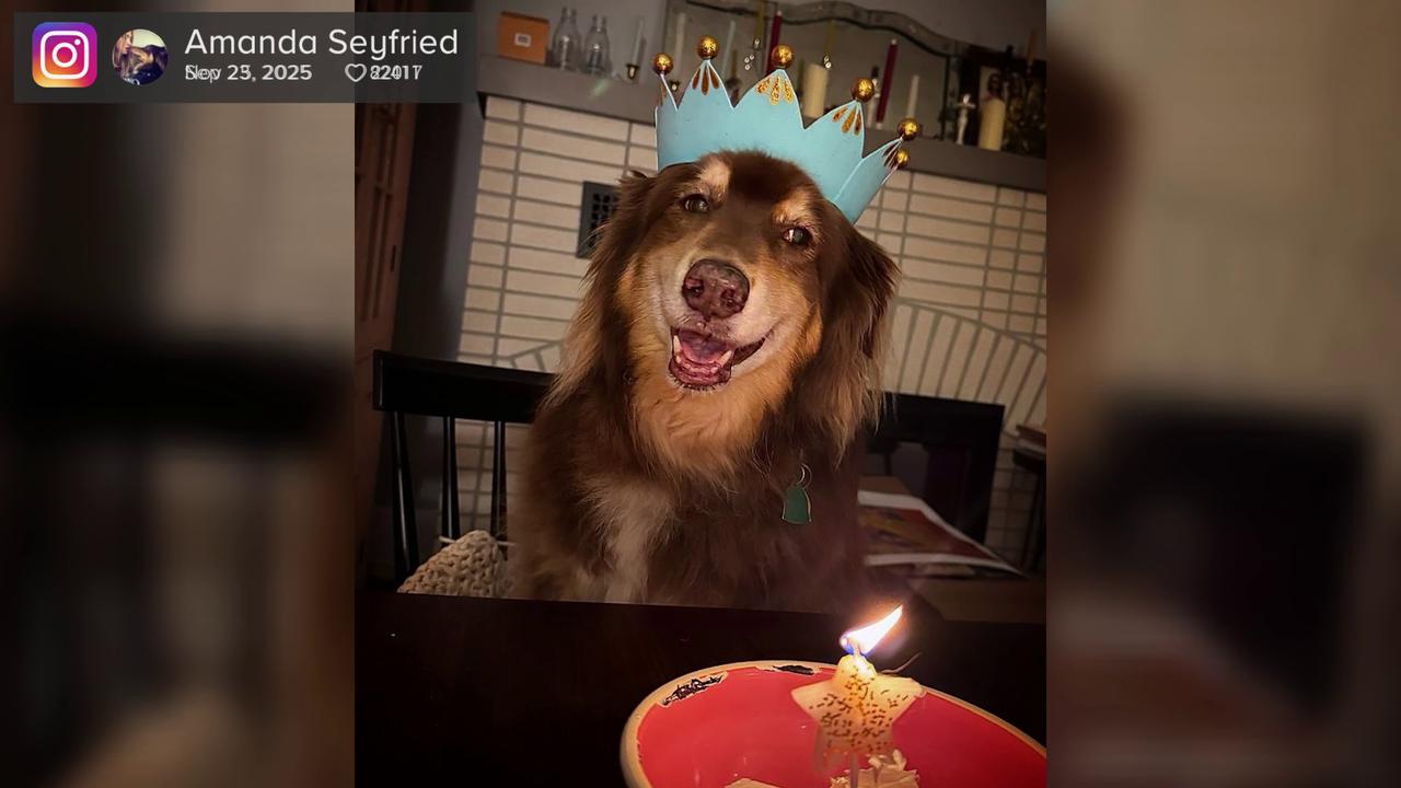 Video thumbnail for UNCAPTIONED: Amanda Seyfried mourns death of 16-year-old dog Finn.