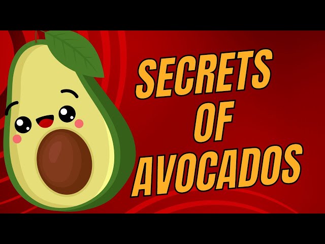 Video thumbnail for 9 Amazing Health Benefits of the Avocado