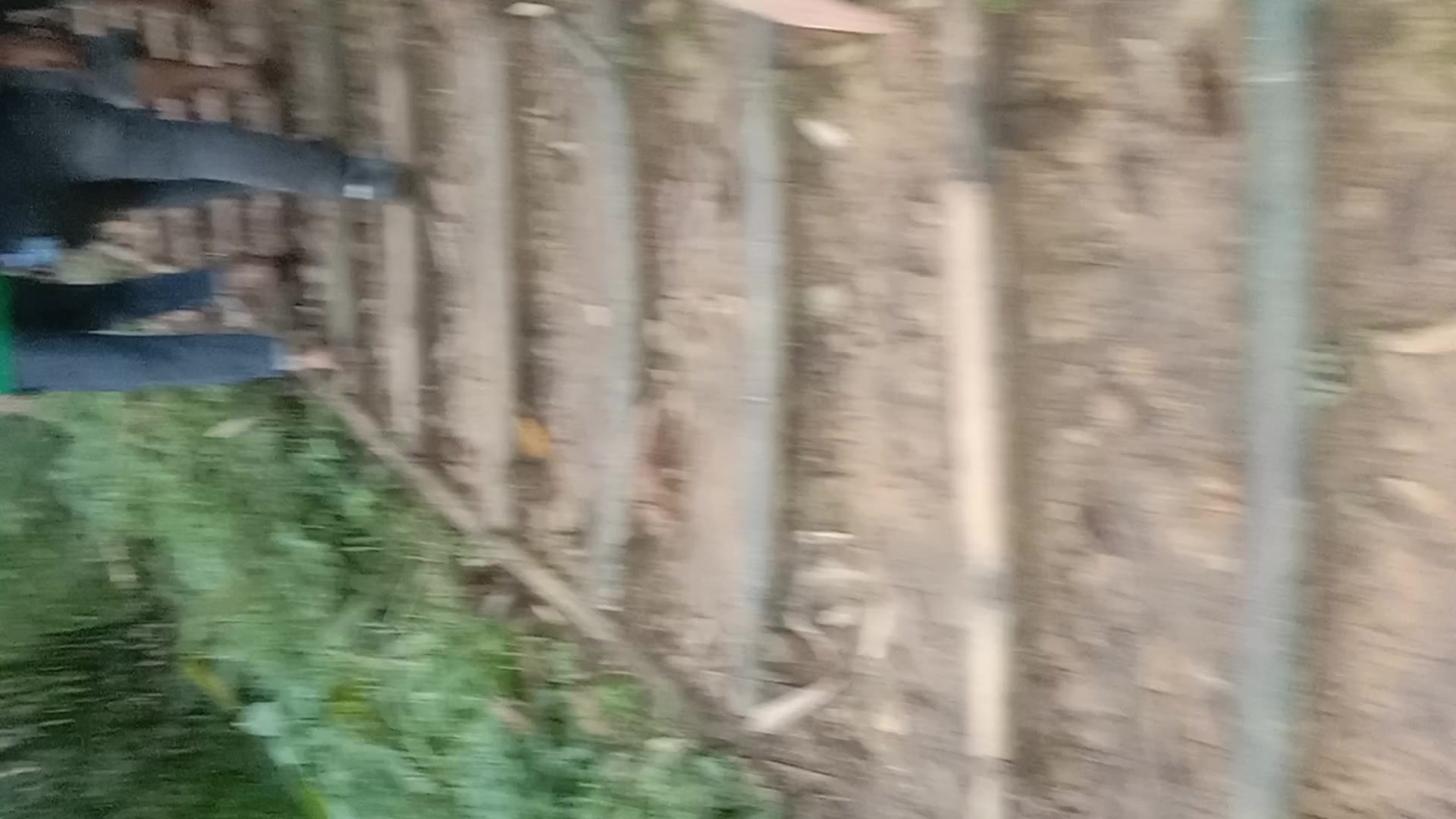 Video thumbnail for video_20250123_084741