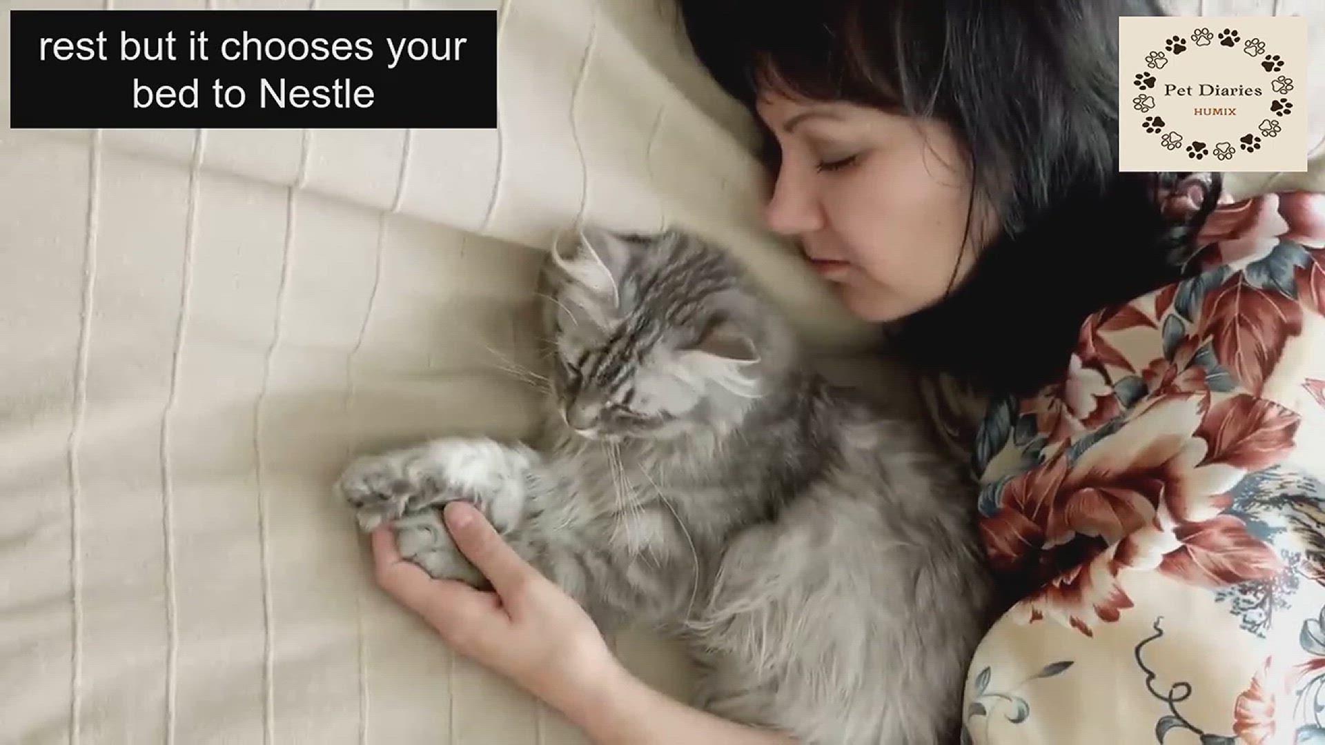 'Video thumbnail for Cat sleeping habits'