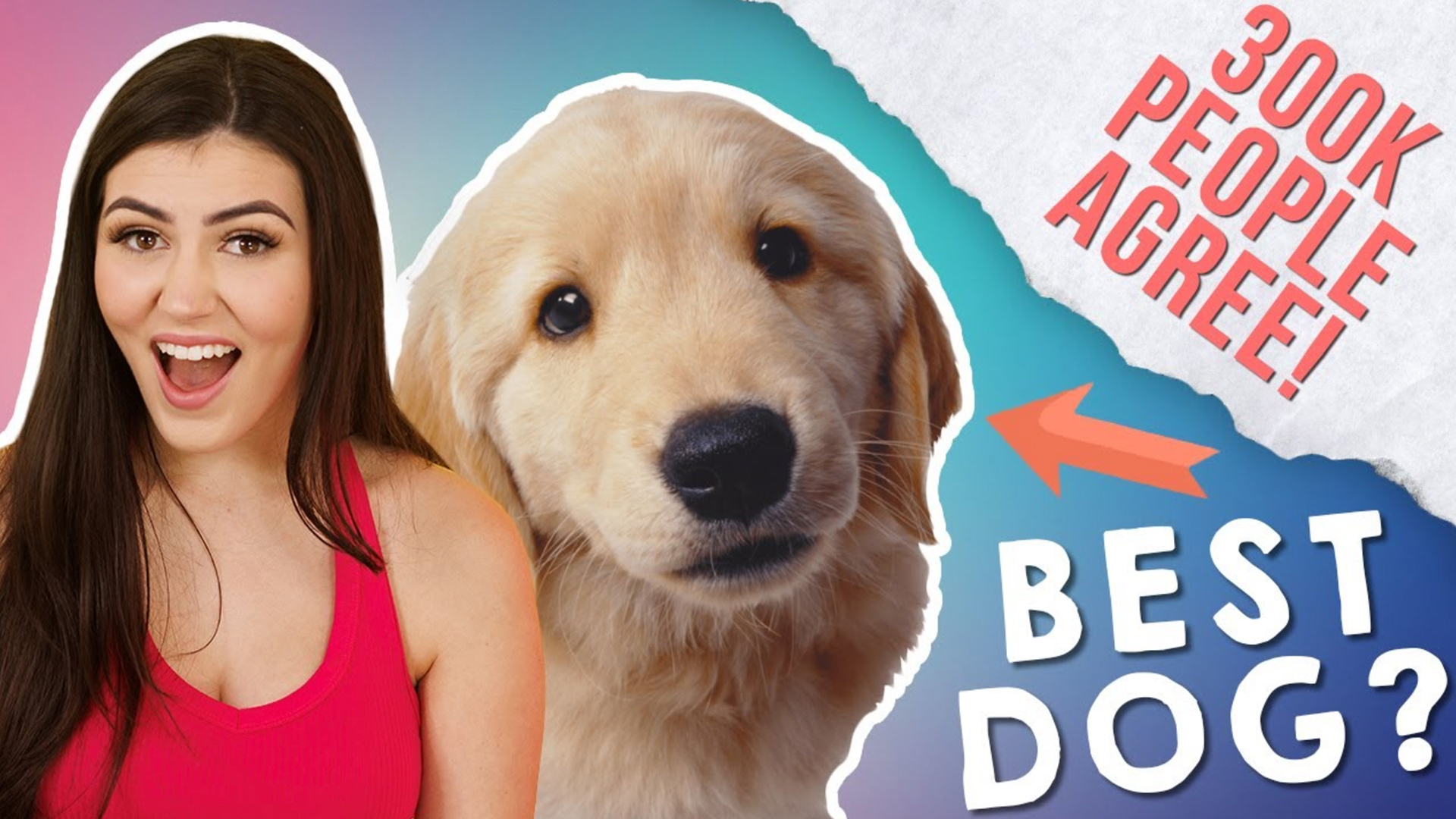 'Video thumbnail for Why 300,000 People Voted This The World's Best Dog'