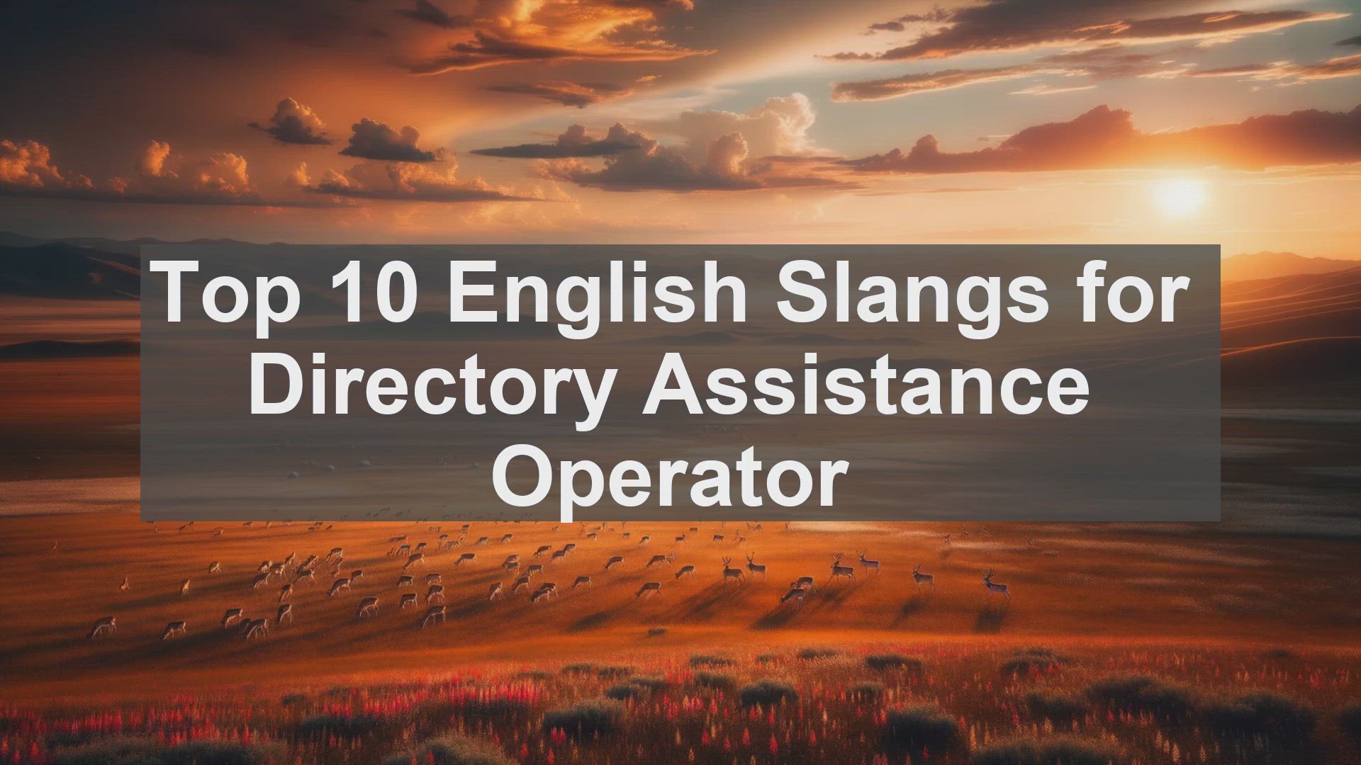 'Video thumbnail for Top 10 English Slangs for Directory Assistance Operator'