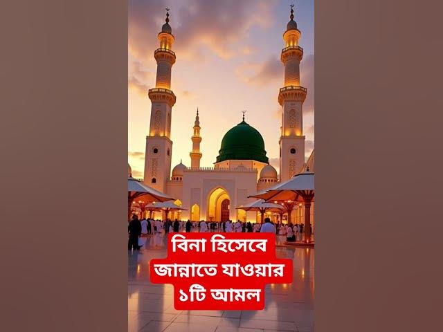 Video thumbnail for বিনা হিসেবে জান্নাতে যাওয়ার ১টি আমল#shorts #viral#sheikh_ahmadullah#islamicalortips