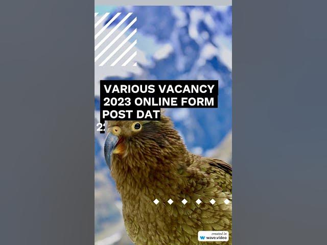 Video thumbnail for KEA SDA Recruitment 2023 #shortvideo #viralshorts #karnatakagovernmentjobs #KEAJOB #governmentjob