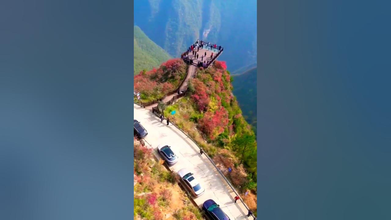 Video thumbnail for #nature butterfly #status #whatsappstatus #reels #omxmedia