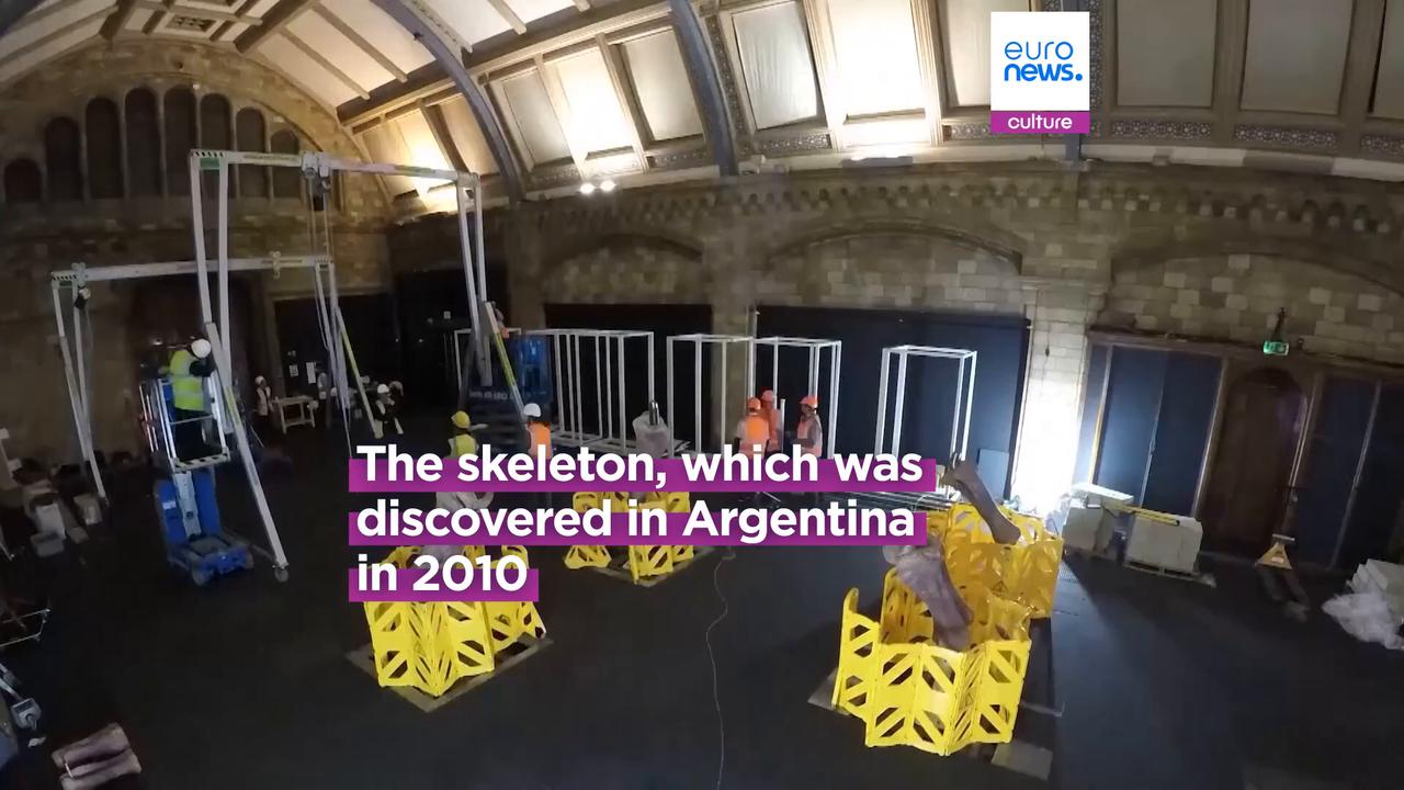 Video thumbnail for World’s largest dinosaur goes on display in Peterborough cathedral