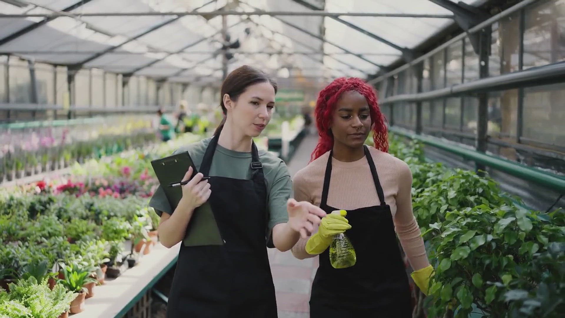 'Video thumbnail for How to Prevent Powdery Mildew in the Garden'
