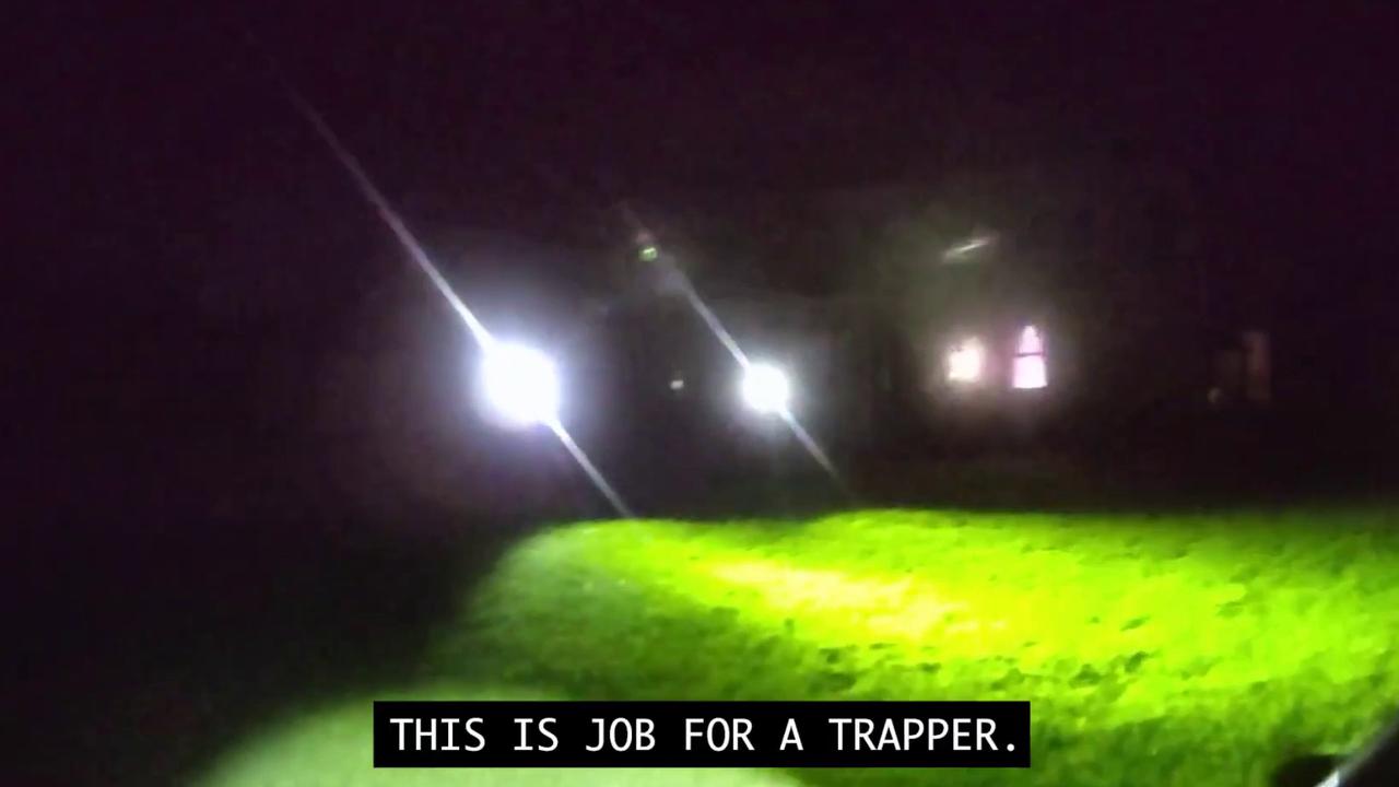 Video thumbnail for US: 8-Foot Alligator Found In Florida Backyard Sparks Late-Night Rescue.