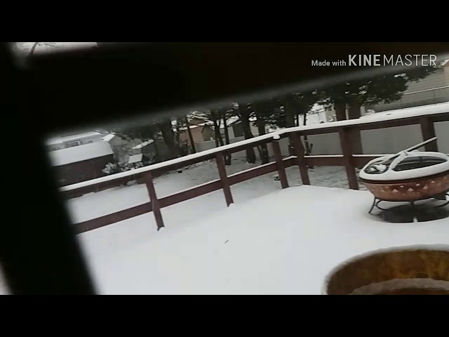 Video thumbnail for Happy snow day 2019.