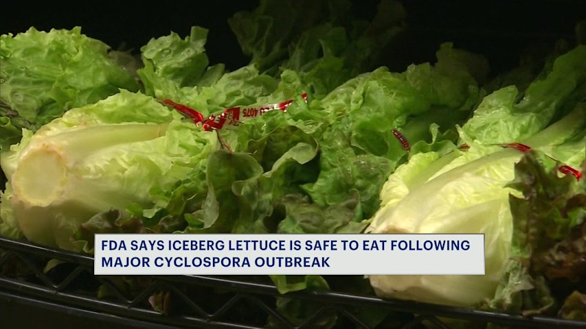 Video thumbnail for FDA says iceberg lettuce safe to eat following Cyclospora outbreak