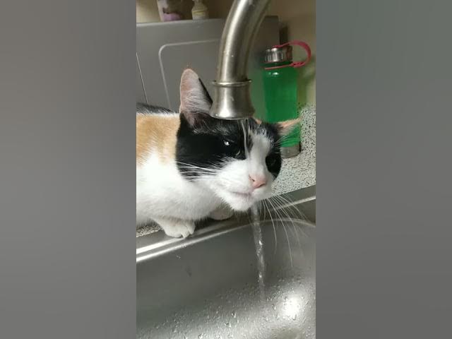 Video thumbnail for May 12, 2020