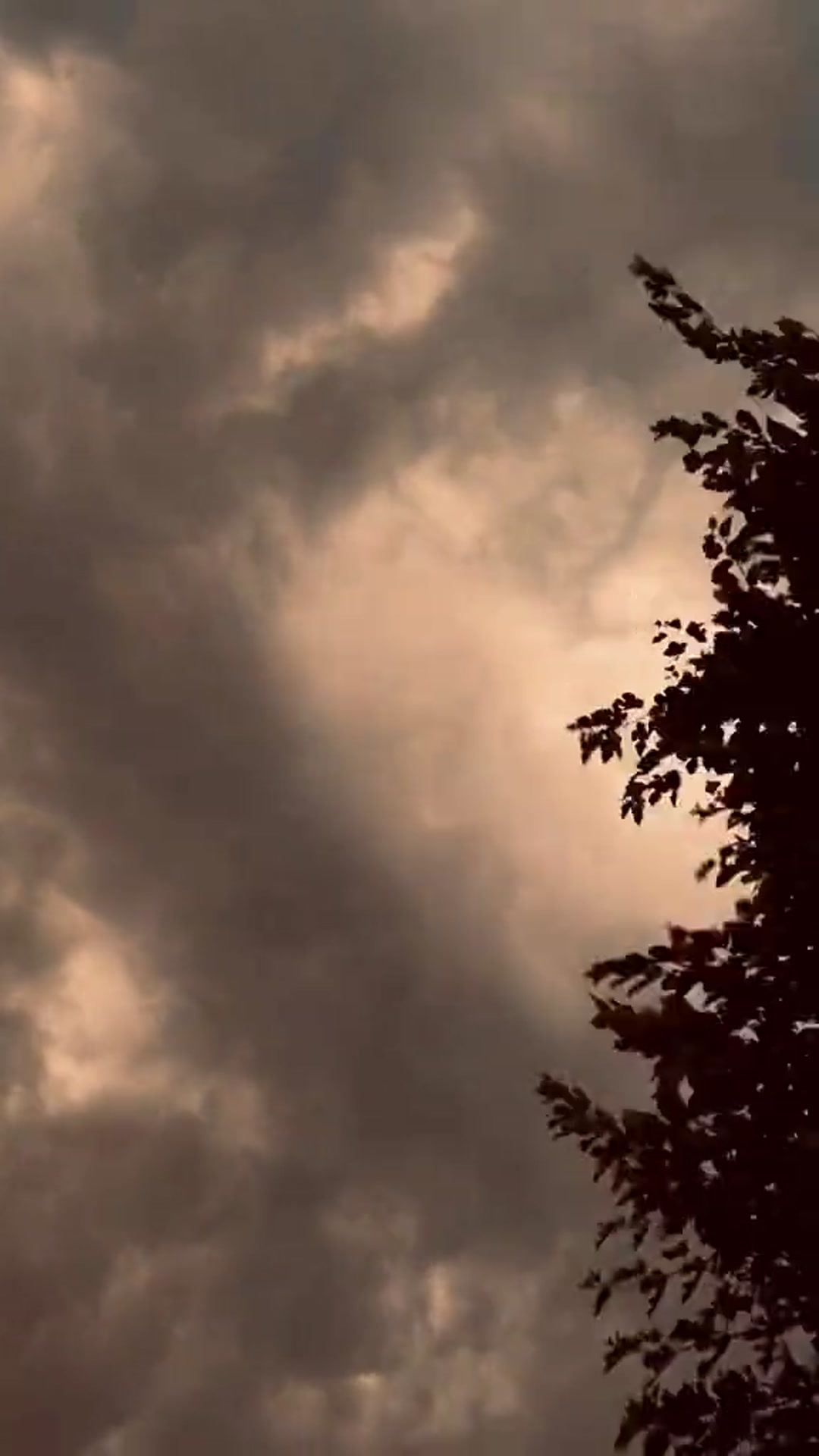 Video thumbnail for AllVideo 01755527616188