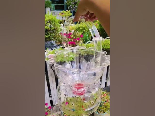 Video thumbnail for Suspensions faites avec des bouteilles #plante #jardin #diy