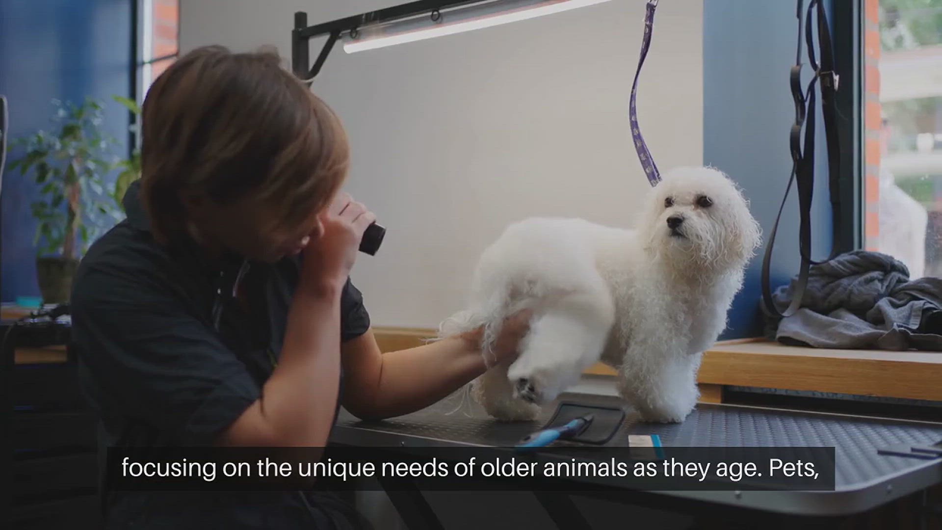 Video thumbnail for Senior Pet Care