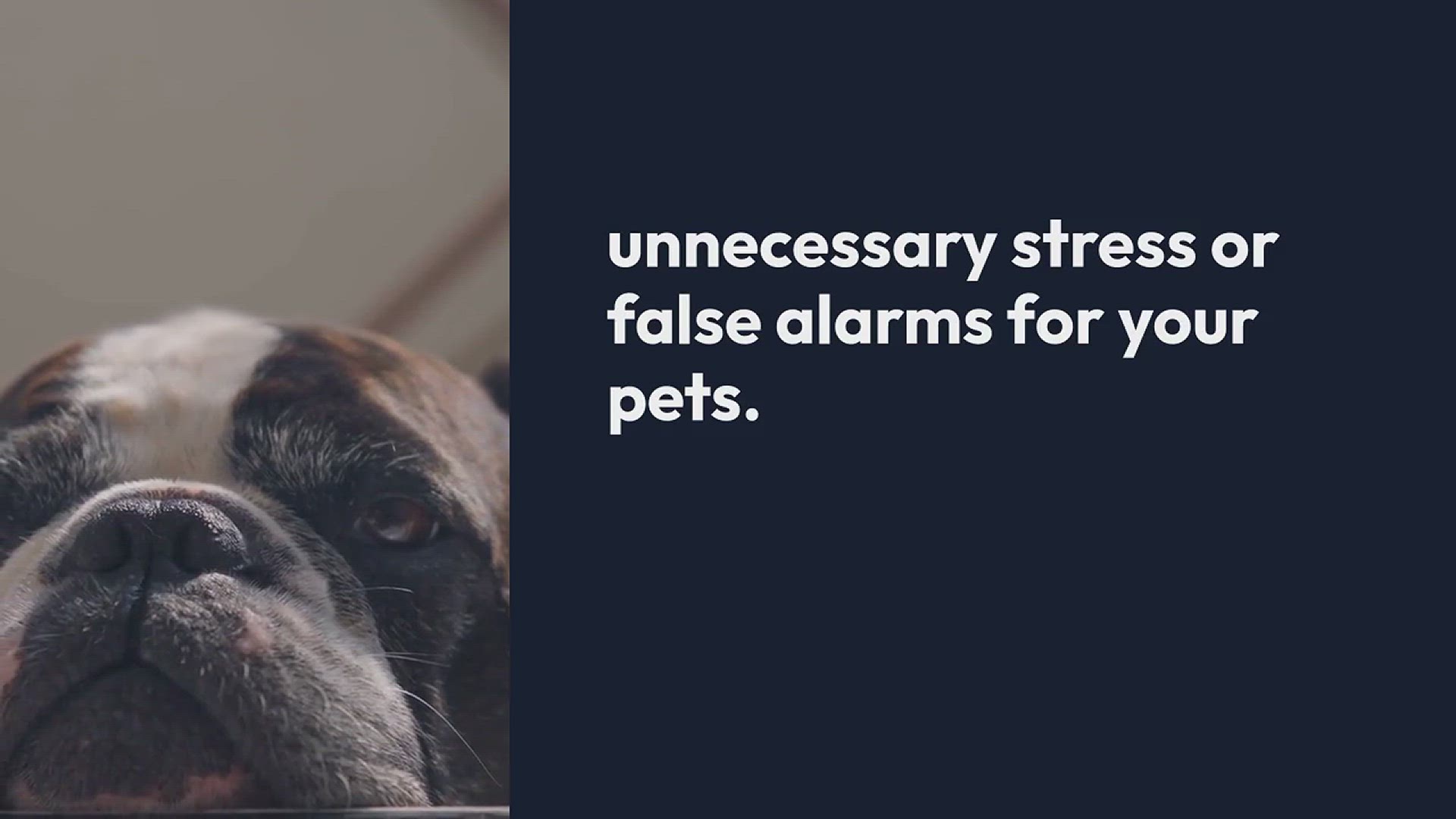 Video thumbnail for Pet Friendly Security Enhancements