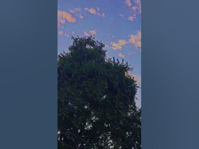 Video thumbnail for Sky Blue and Greenery...🌃#randomclick #shorts #trending #traveldiaries #travelinindia #radheradhe