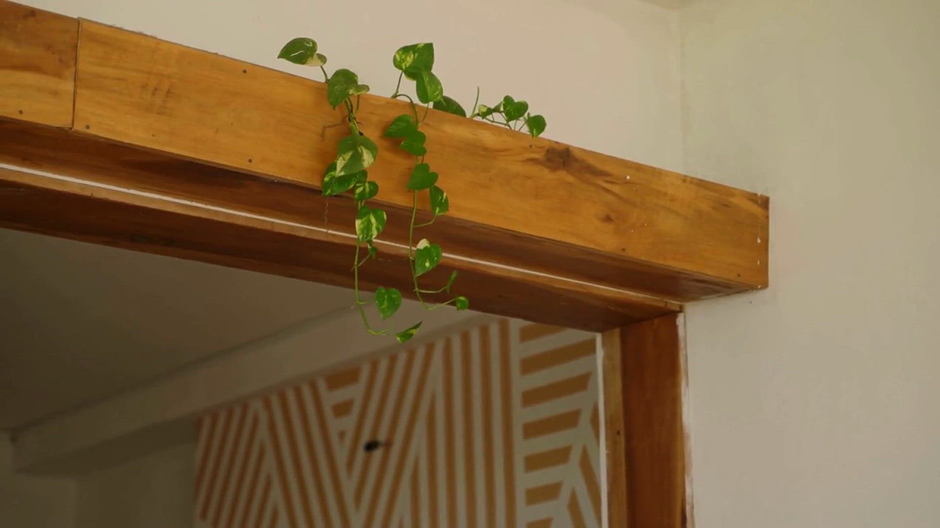 Video thumbnail for Best Plants for Bedroom Air Purification