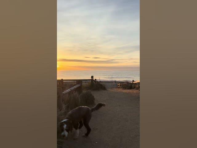 Video thumbnail for Good Morning from Bay Head!