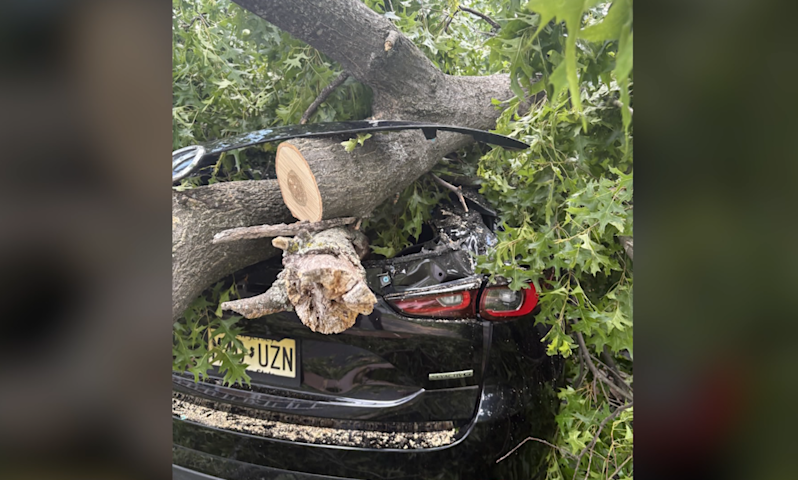 Video thumbnail for Large tree crashes down on Little Falls home, destroying parts of house and cars