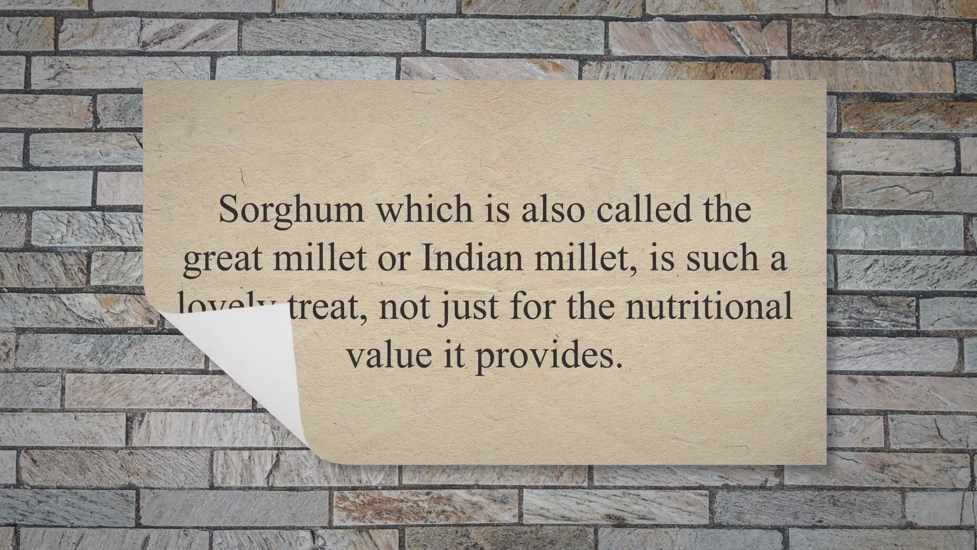 Video thumbnail for Do Deer Eat Sorghum? (How To Protect Sorghum?)