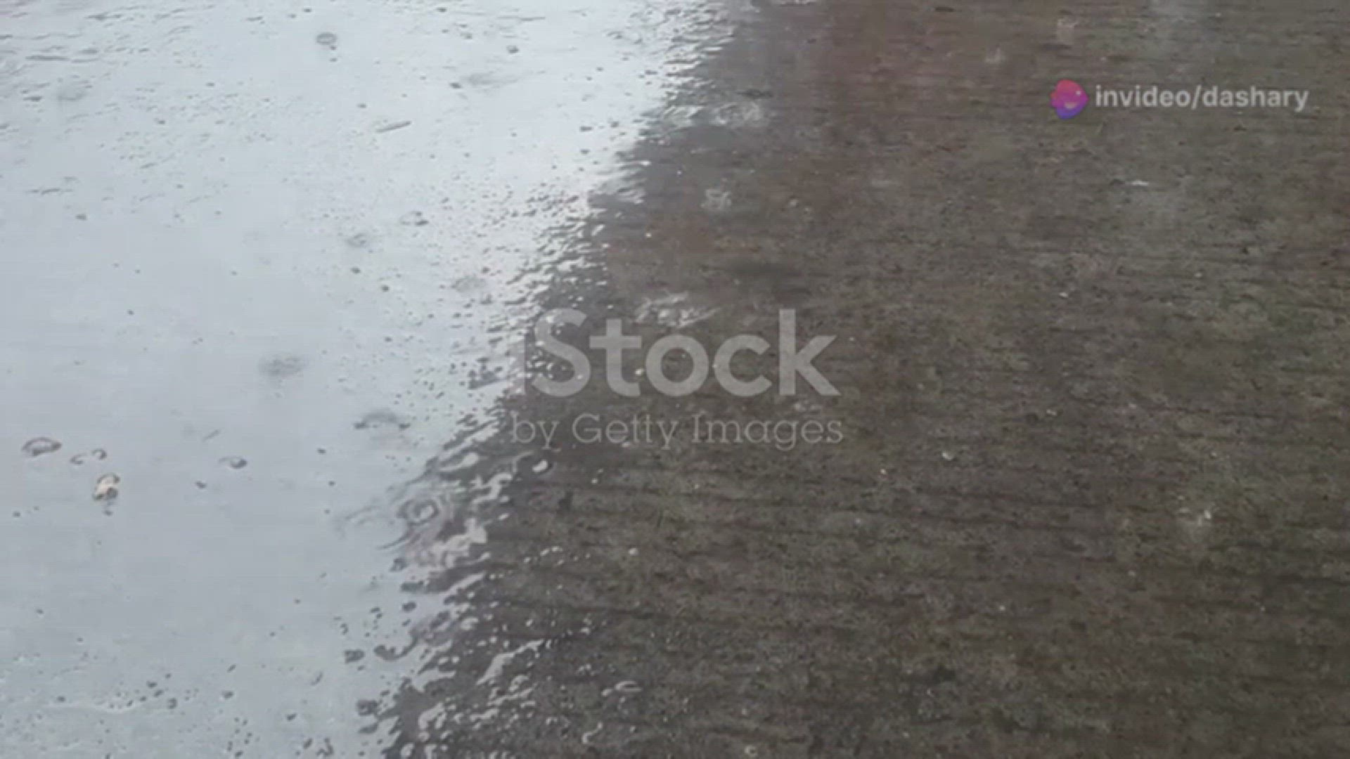 Video thumbnail for Rahasia Aroma Segar Setelah Hujan: Petrichor