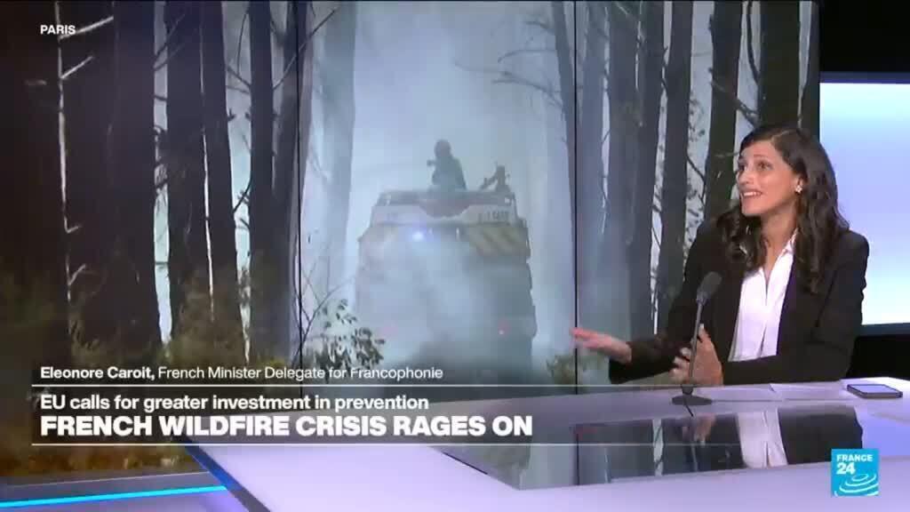 Video thumbnail for As France battles unprecedented wildfires, Caroit urges collective global action on climate change