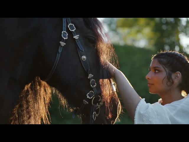 Video thumbnail for Soft Moments: A Gentle Touch Between Human and Horse